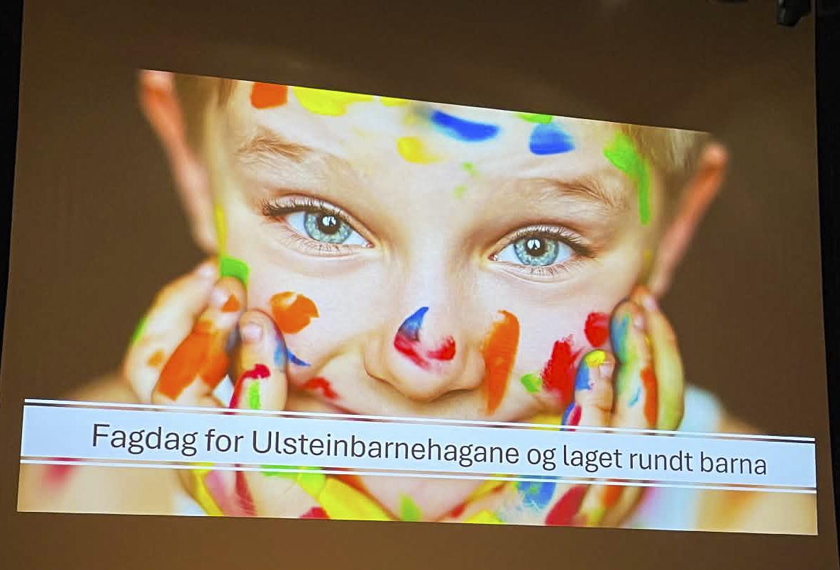 Lenkje til artikkel: Fagdag for felles forståing, felles språk og felles praksis på tvers av fagområde og tenester