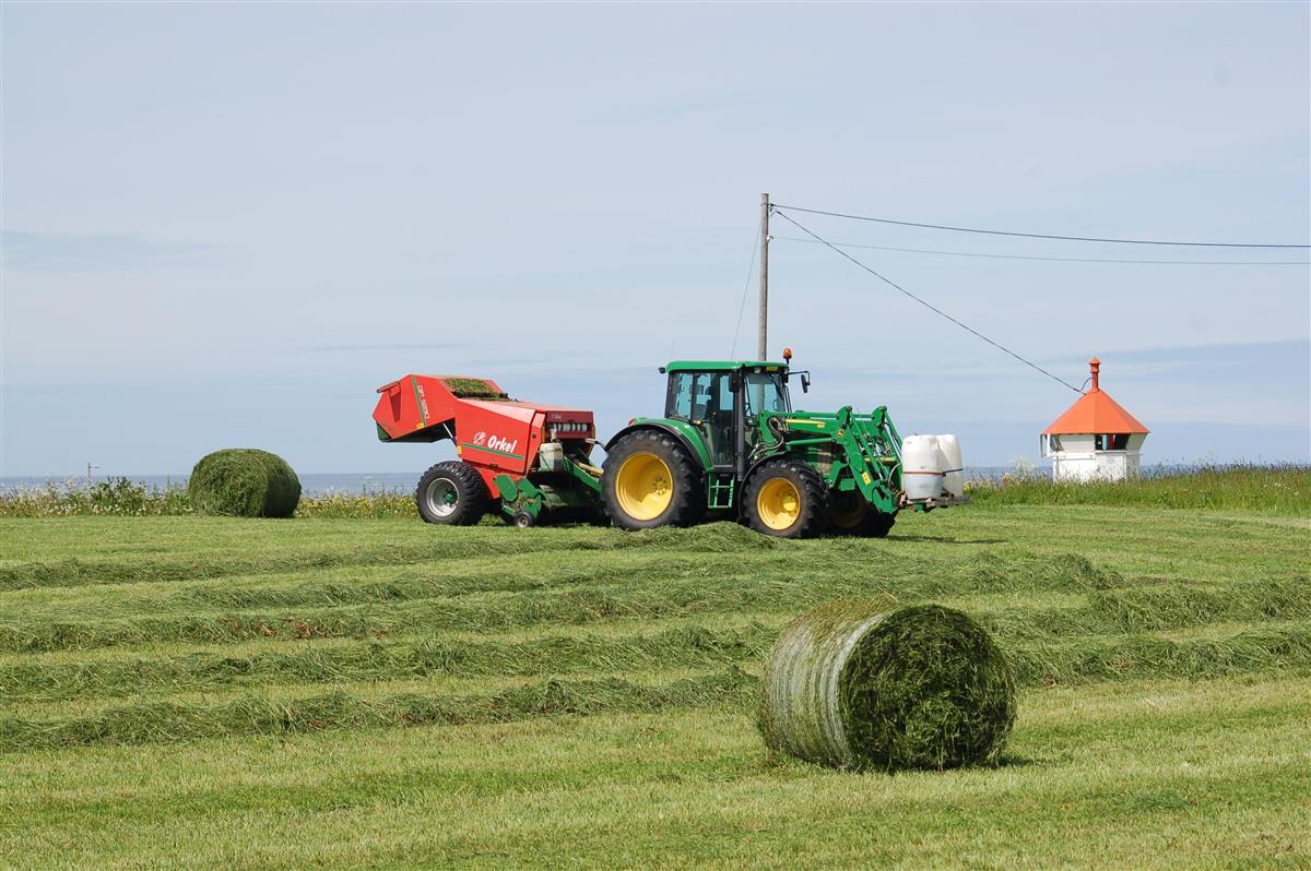 landbruk traktor - Klikk for stort bilete